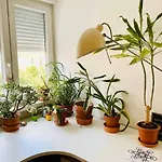 Good Vibes Apartment, Peaceful & Harmony Oasis